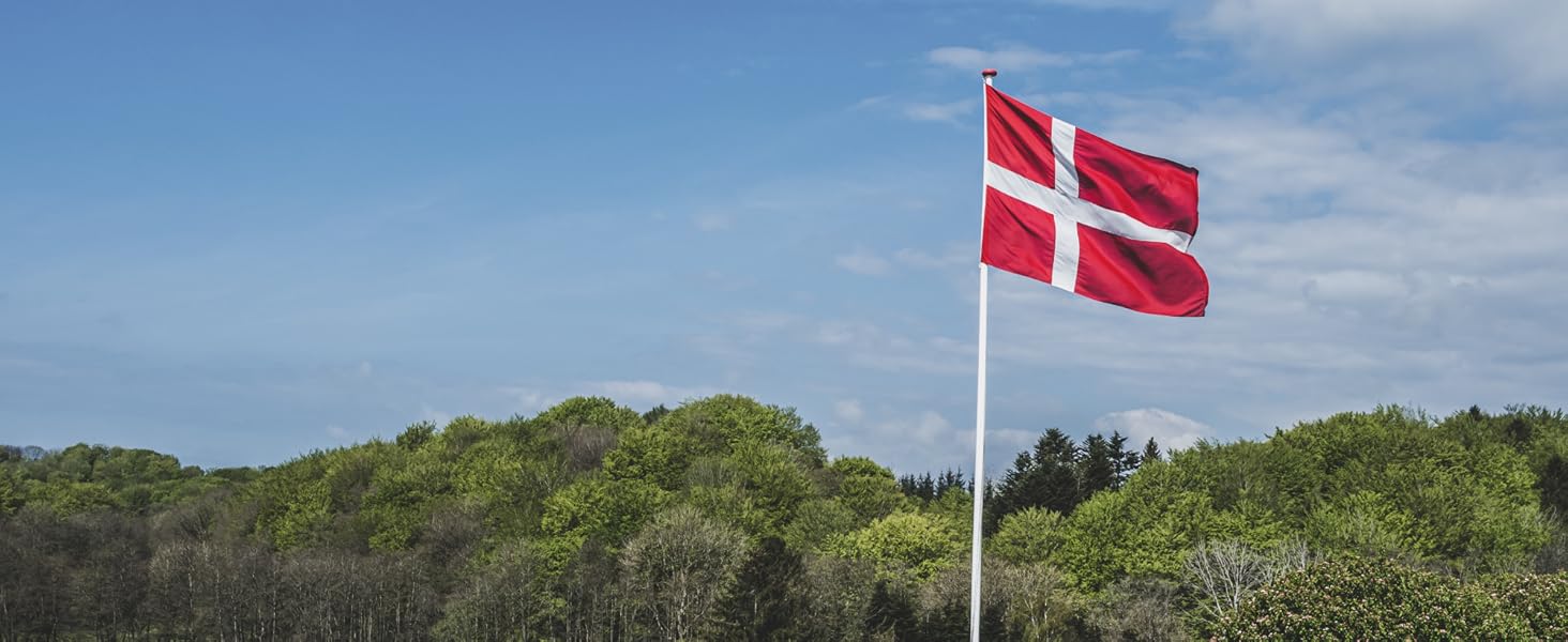 Слип чоловічий DANISH ENDURANCE 6 шт. з бамбука, чорний XXL | М'який, з еластичностью, без етикетки