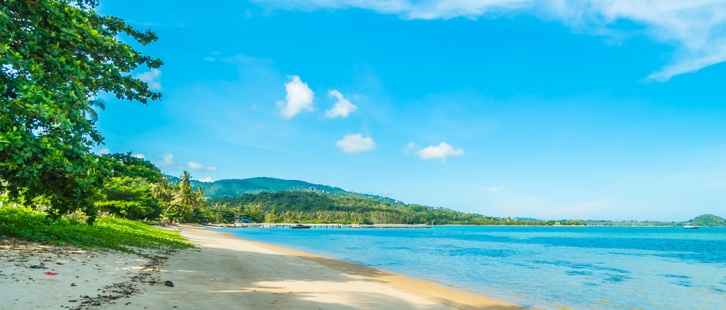 Двочастинний купальник Adigaber з пуш-ап, Tankini з шортами, спортивний, рожевий, XXL