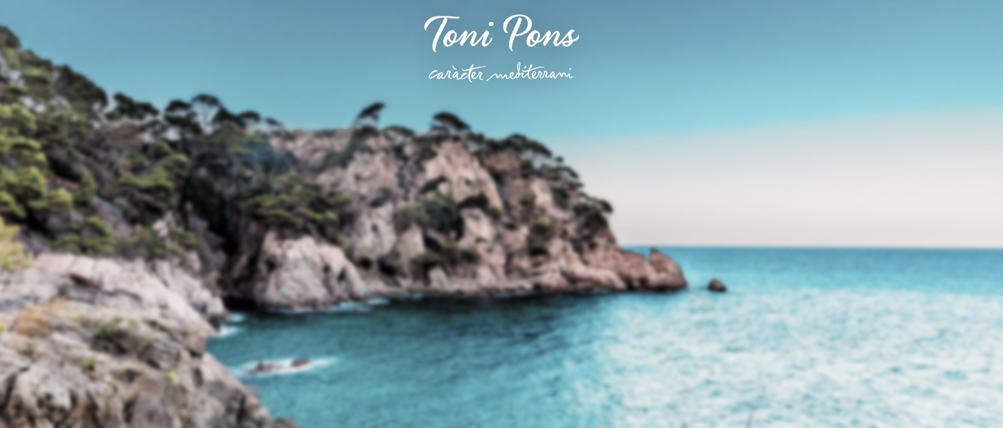 Жіночі домашні капці Toni Pons MONA-FR з переробленого фетру (пластик з океану), багатоколірні, розмір 40 EU
