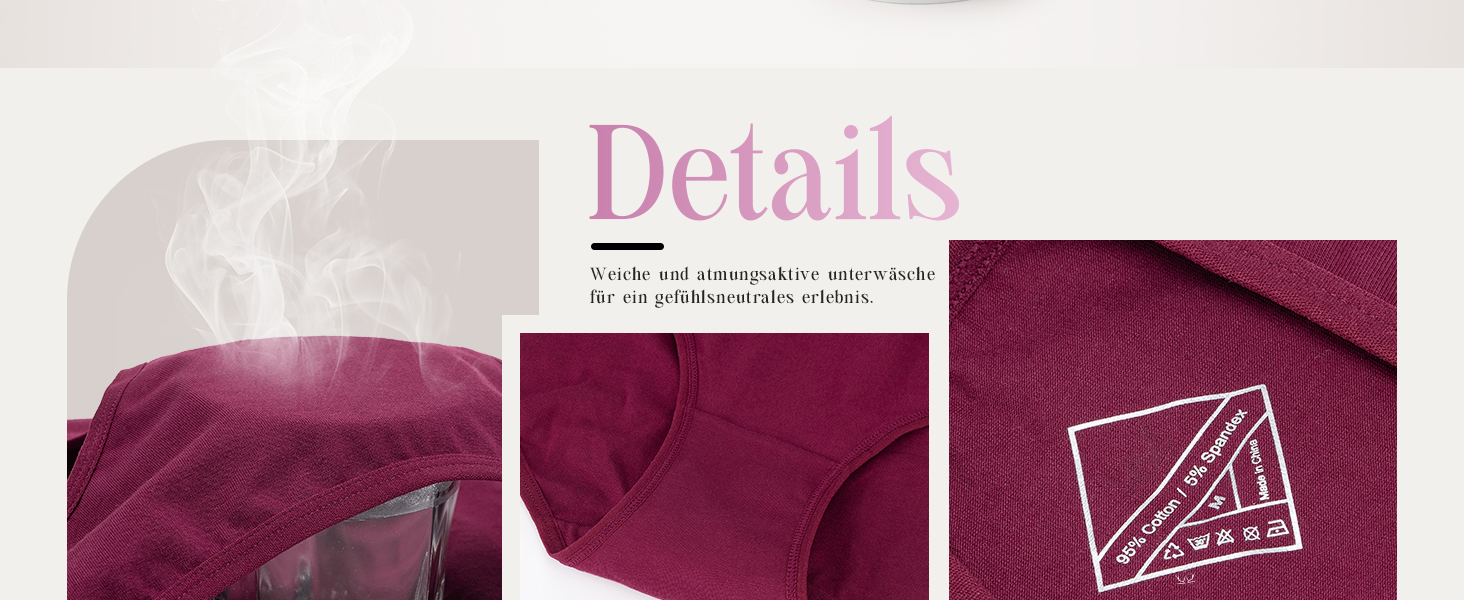 Танстц (TANSTC) жіночі труси-сліпи з бавовни, 6 шт. в упаковці, низька талія, еластичні, дихаючі, XS