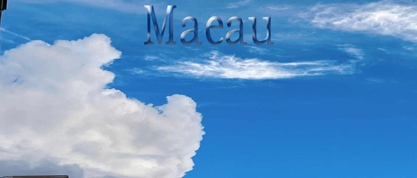 Боді з екошкіри для чоловіків Maeau, блискучий catsuit, леотард, комбінезон, клубний одяг, костюм, шкіряні шорти, мокра шкіра, жилет, для Хелловіну, косплей, чорний, розмір 3, 38