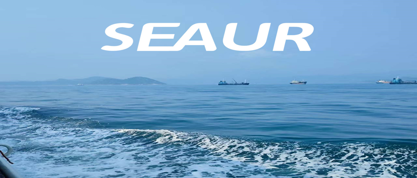 Рашгард жіночий SEAUR з UPF 50+ захистом від сонця, цільний купальник, облягаючий крій, плавальний костюм, футболка для плавання (M, A09)