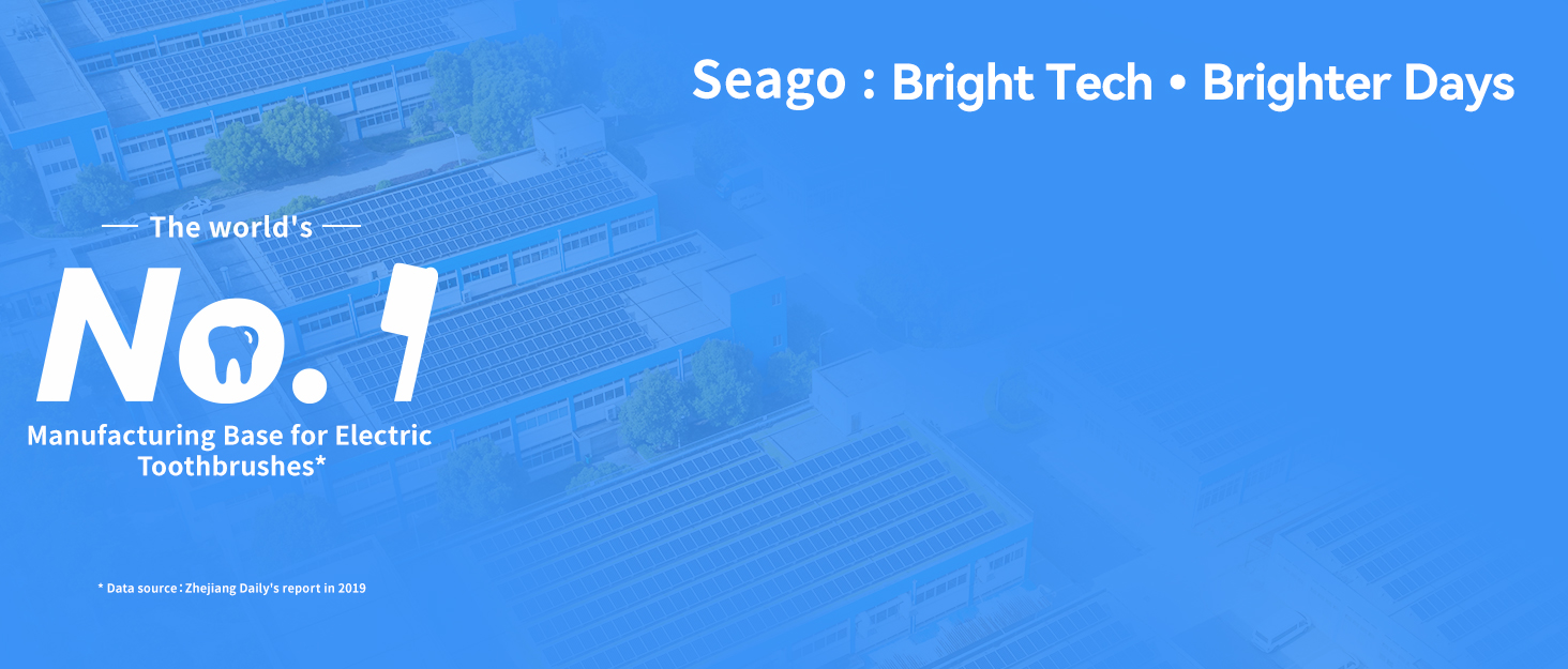 Електрична сонічна зубна щітка Seago SG-958, 40000 VPM, 5 режимів роботи, USB-зарядка, 8 змінних насадок, чорна