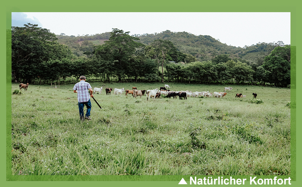 Сліпекс чоловічі прозорі сексуальні труси BIATWOWR з підсилювачем мішка для більшої привабливості та комфорту (2 шт.): різнокольорові, XL