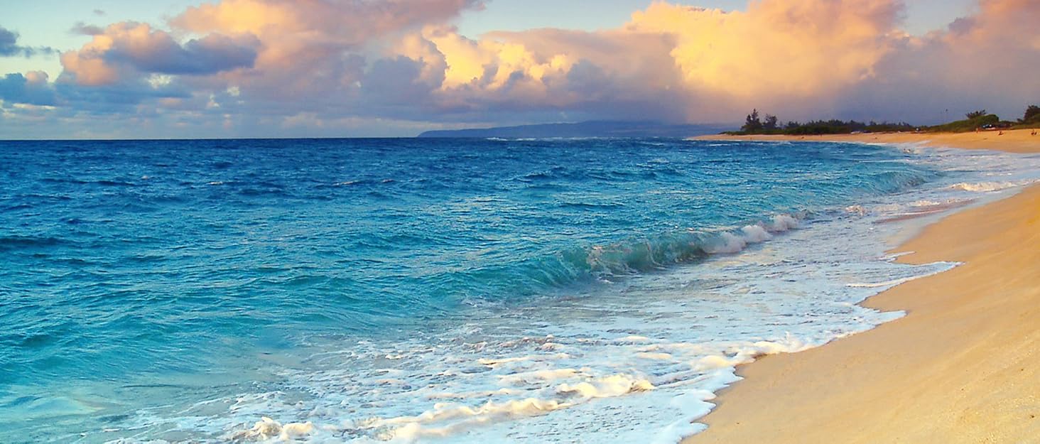 Спортивний купальник для жінок: одноцільний, з високою талією, push-up, синій (40)