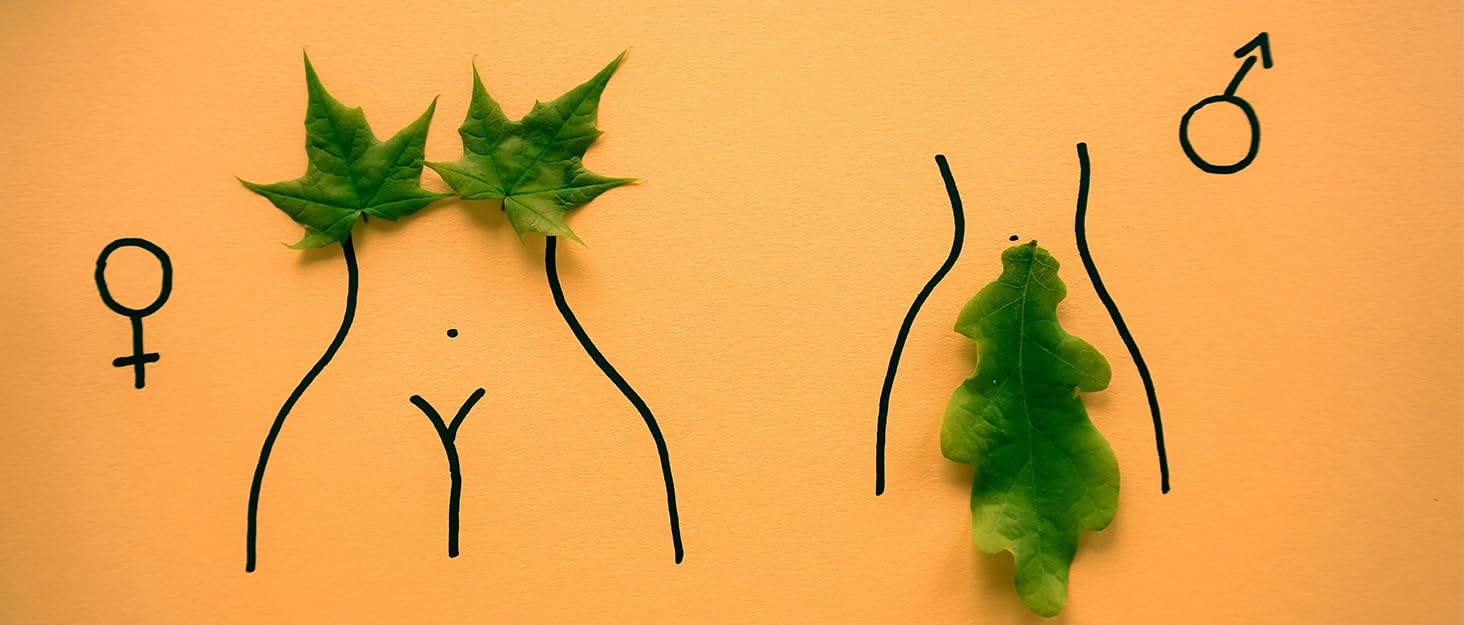 Електричний мастурбатор для чоловіків: секс-іграшка з 7 функціями (сосання, телескоп, обертання, вібрація)