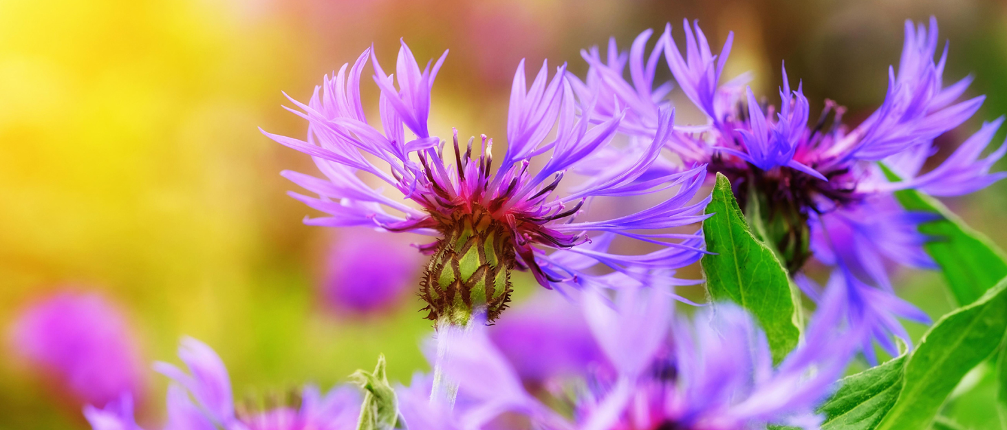 Чоловічі легінси YUFEIDA з еластичної шкіри (PU), класичний дизайн, чорні, XL