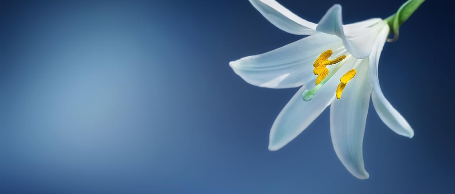 Чоловічі штани з екошкіри QiaTi - стильні прямі штани з еластичною тканини для мотоциклів та нічного клубу, чорного кольору, розмір L